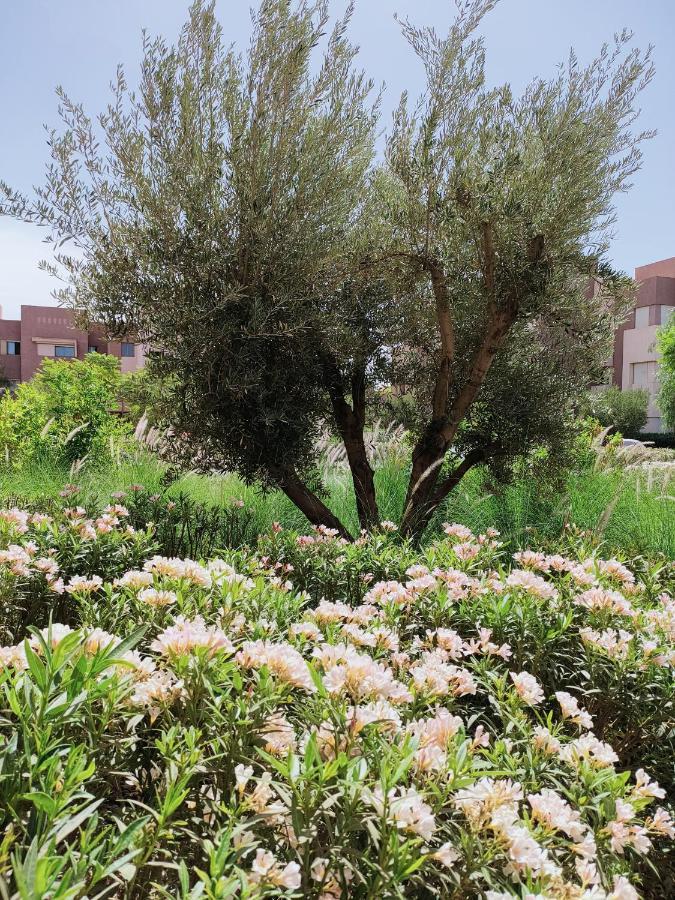 Prestigia Marrakech Dar Cheryana Marrakesh Eksteriør billede